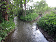 Bobrava na soutoku s Říčanským potokem