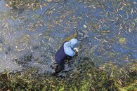 kontaminovaná voda v Thajsku