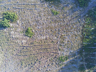 Odlesnění v CHKO Jeseníky