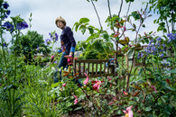 zahrádkářská osada