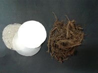 papír ze sloního trusu