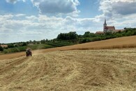 Sečení louky v NP Podyjí