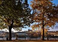 Lípy Prahy s názvem Za řekou od Markéty Zachové