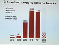 Mezinárodní den STOP přepravě živých zvířat 