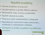 Mezinárodní den STOP přepravě živých zvířat 