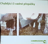 Mezinárodní den STOP přepravě živých zvířat 