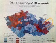 úlovek černé zvěře na 1000 ha honiteb