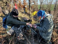 strom úvaz biokoridor
