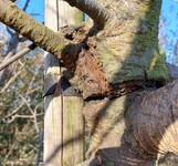 strom úvaz biokoridor