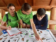 ekologická olympiáda