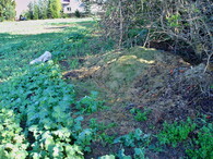 vyhozený bioodpad v poli