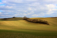 zemědělská krajina