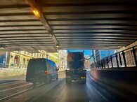 přesazení javoru na Praze 3