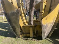 přesazení javoru na Praze 3