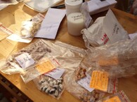 Semínkovna v Olomouci