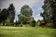 Rtyňská lípa svobody 