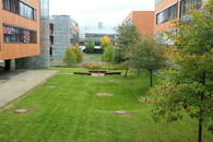 Hospodaření s dešťovou vodou