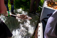 překopávání kompostéru