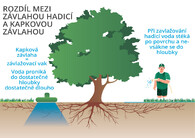 závlaha stromu