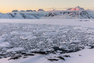 Driftující ledové kry