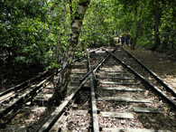 Natur-Park Südgelände