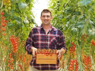 Skleníky na rajčata v Kameničanech