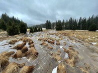 přítok Roklanského potoka