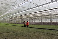 Exkurze s mongolskými lesníky