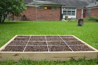 Čtverečková zahrádka