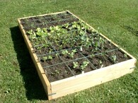 Čtverečková zahrádka