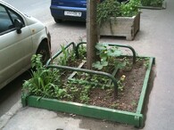 Čtverečková zahrádka