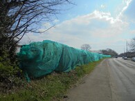 síťová ochrana proti hnízdění ptáků