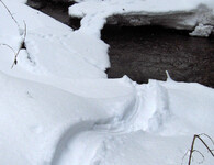 Celostátní mapování vydry říční 