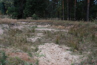 písečná prohlubeň