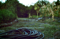 Zahrada se stočenou hadicí