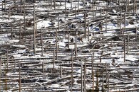 Tichá a Koprová dolina