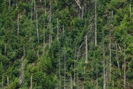 Tichá a Koprová dolina