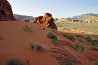 Gold Butte
