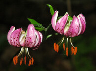 404 m a dno stále nikde…