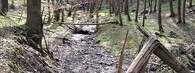 Nadzemní část potoku Špraňku prostě vyschla