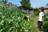 zahrádkářská osada