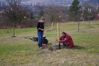 Péče o genofondovou plochu