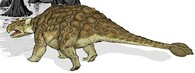 Ankylosaurus