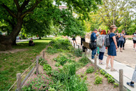Park Kněžská louka