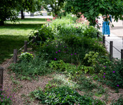 Park Kněžská louka