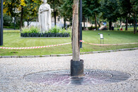 Strom v Čelakovského sadech