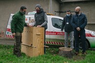 Muflon v Thomayerově nemocnici