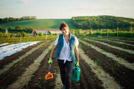 žena obdělávající pole 