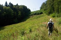 vedení velmi vysokého napětí