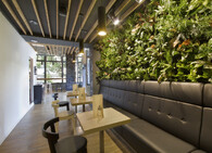 vnitřní zelená fasáda